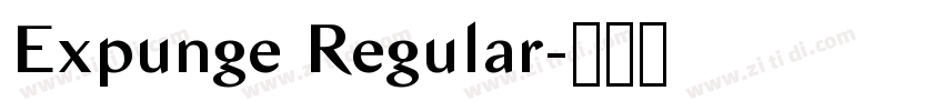 Expunge Regular字体转换